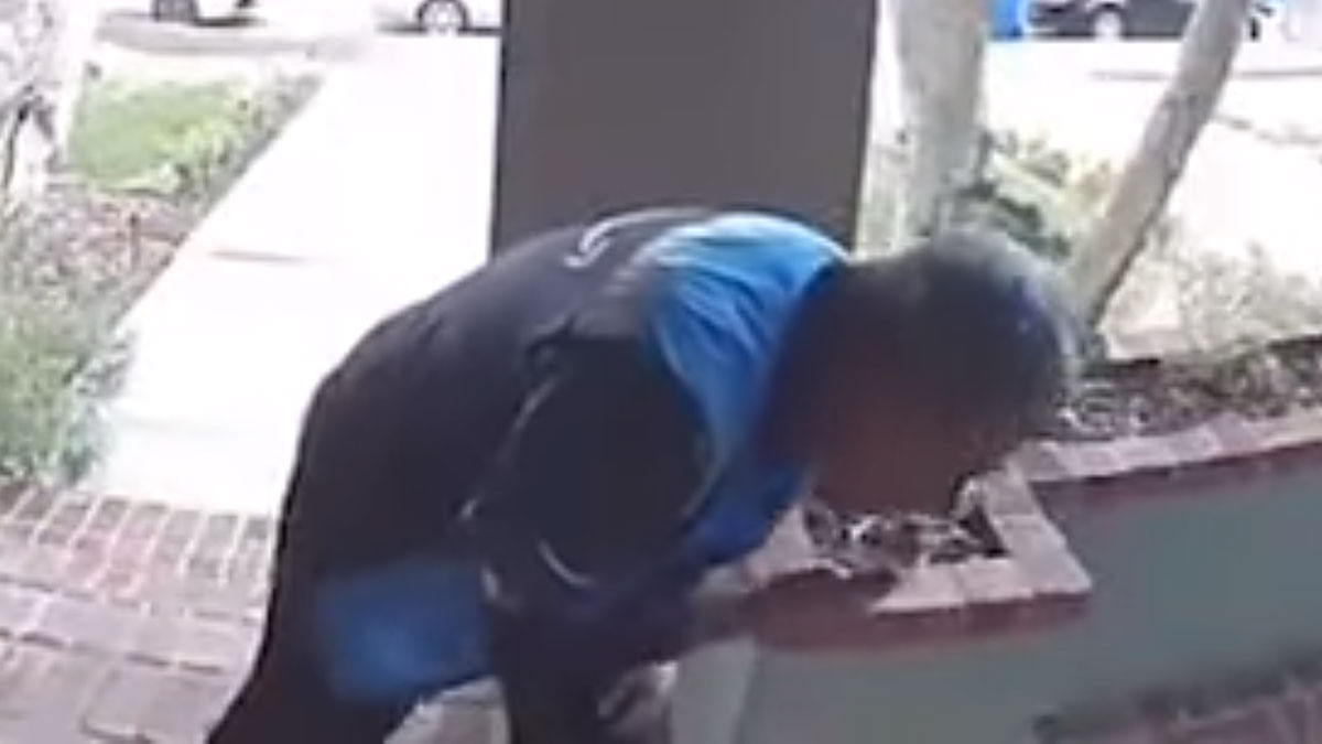 Amazon delivery driver caught spitting on package in vile video