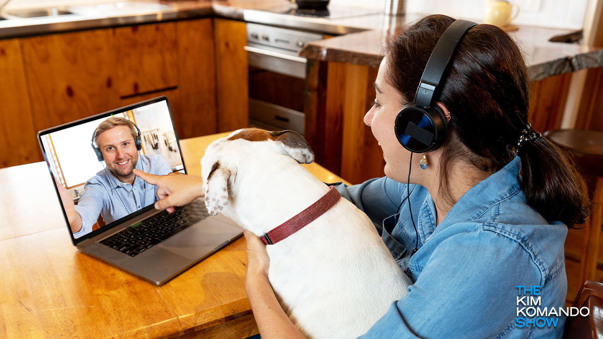 How to meet and adopt a shelter dog from your computer