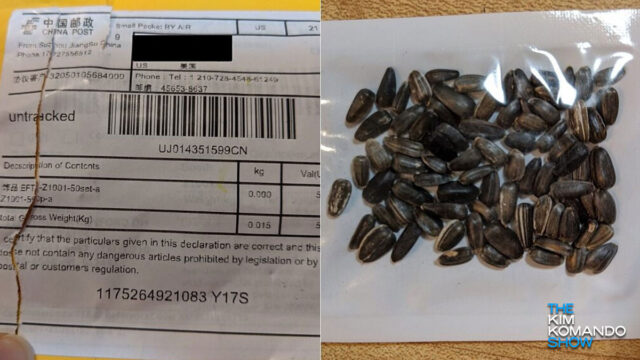 Amazon Bans Mystery Seeds That Americans Were Receiving From China