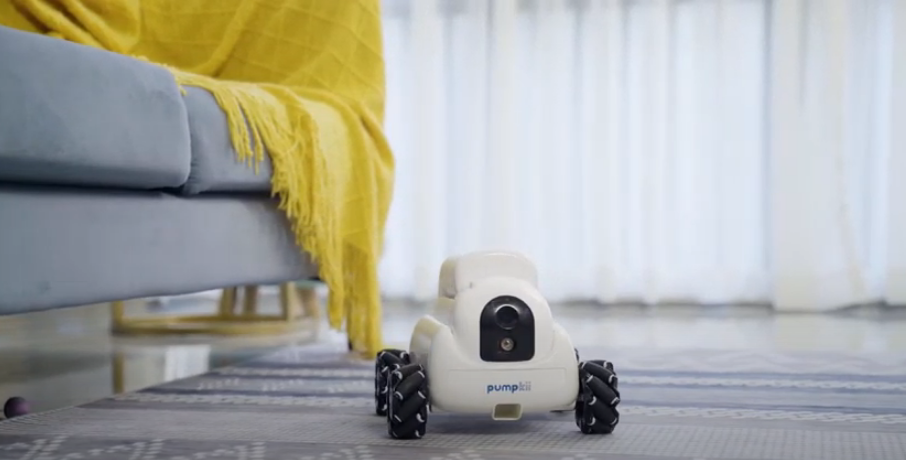 A robot companion for your pet