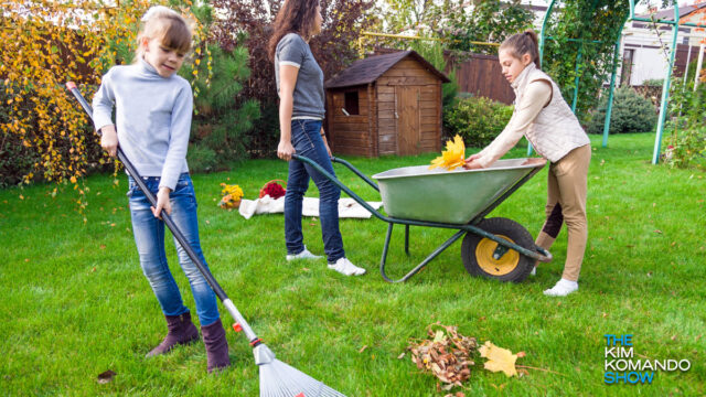 20 affordable lawn and garden essentials reviewers swear by