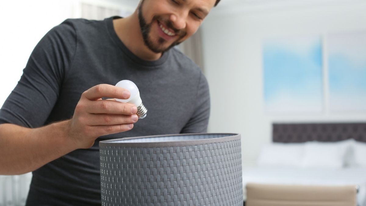 Money-saving lightbulbs that do the work of a $1,000 air purifier