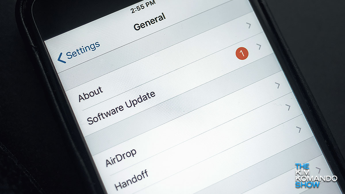 Update your iPhone now to patch 2 big vulnerabilities