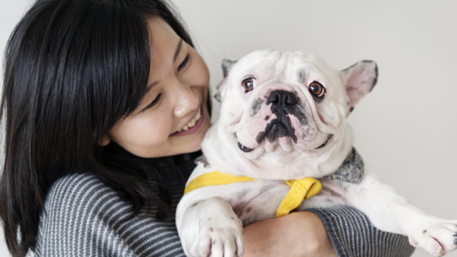 10 most-stolen dog breeds and 3 smart ways to protect your furry friend