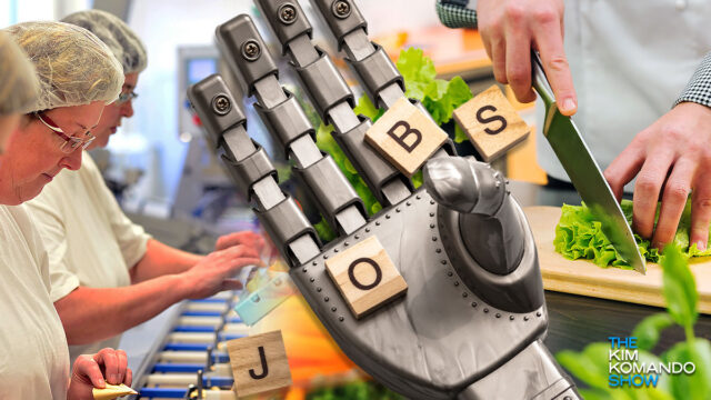 Jobs that could be taken over by robots soon.