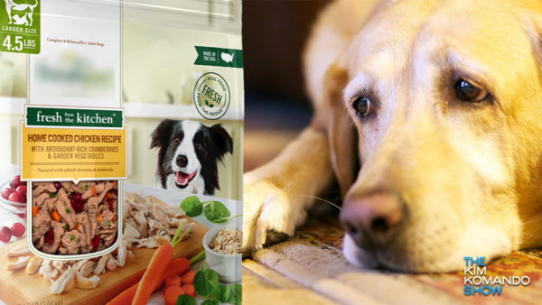 Check your fridge! Dog food recalled due to salmonella risk