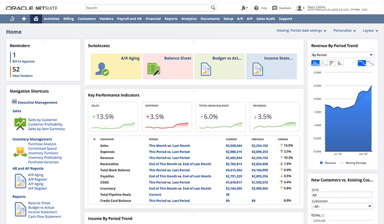 Financial accountability software that comes with all the features you need is surprisingly rare. NetSuite by Oracle is an all-in-one lifesaver for businesses.