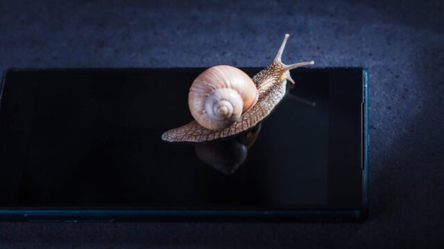 snail crawling on slow phone