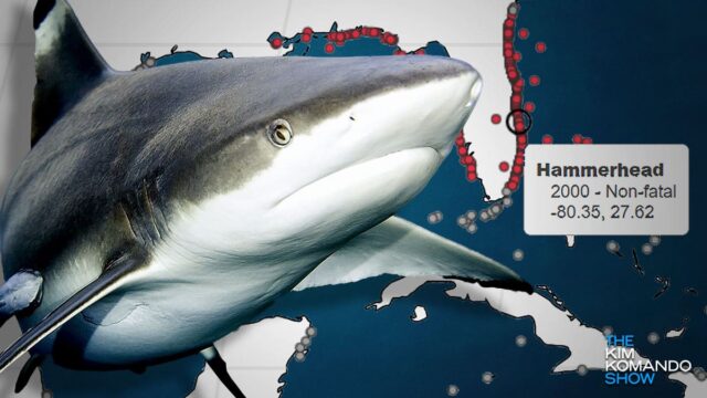 Florida: Shark bite central, according to the International Shark Attack File